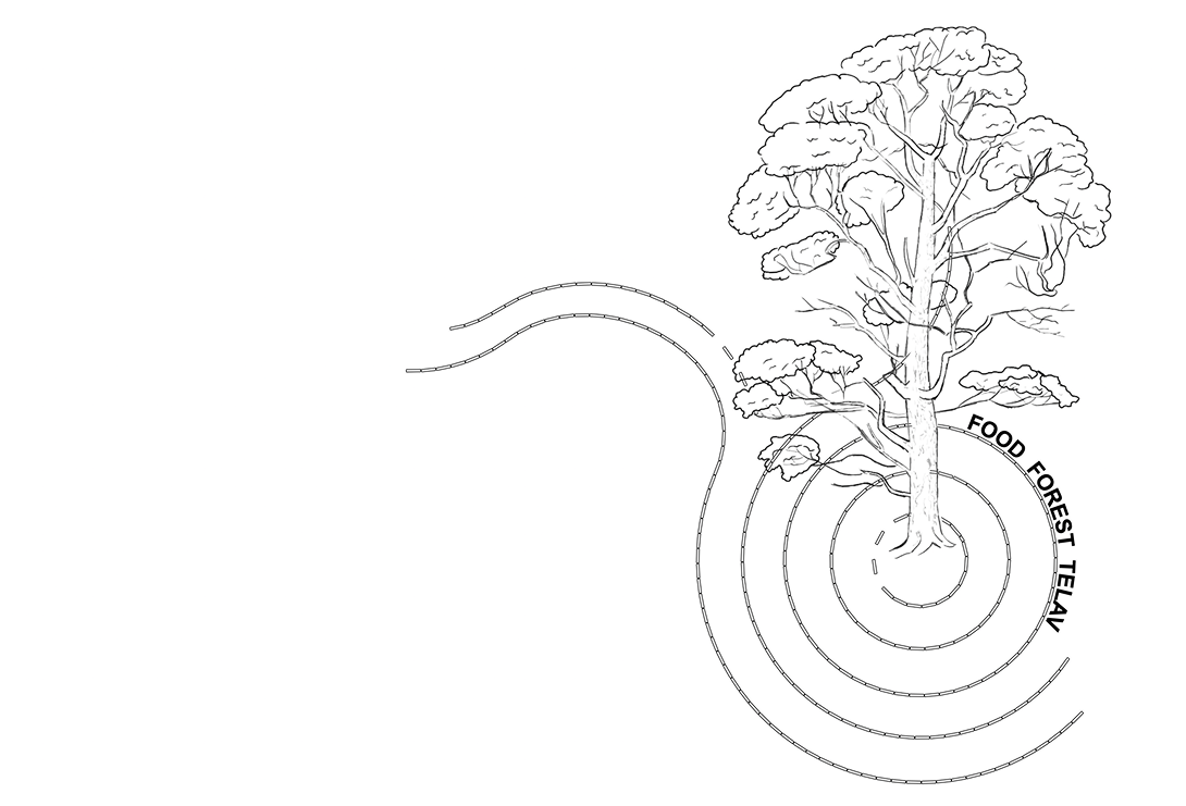 Private Garden at Telav