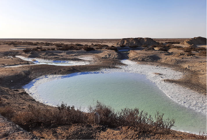 Masterplanning and Landscape Design - Flamingo Lodge