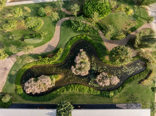 Land Development - Olive Woods