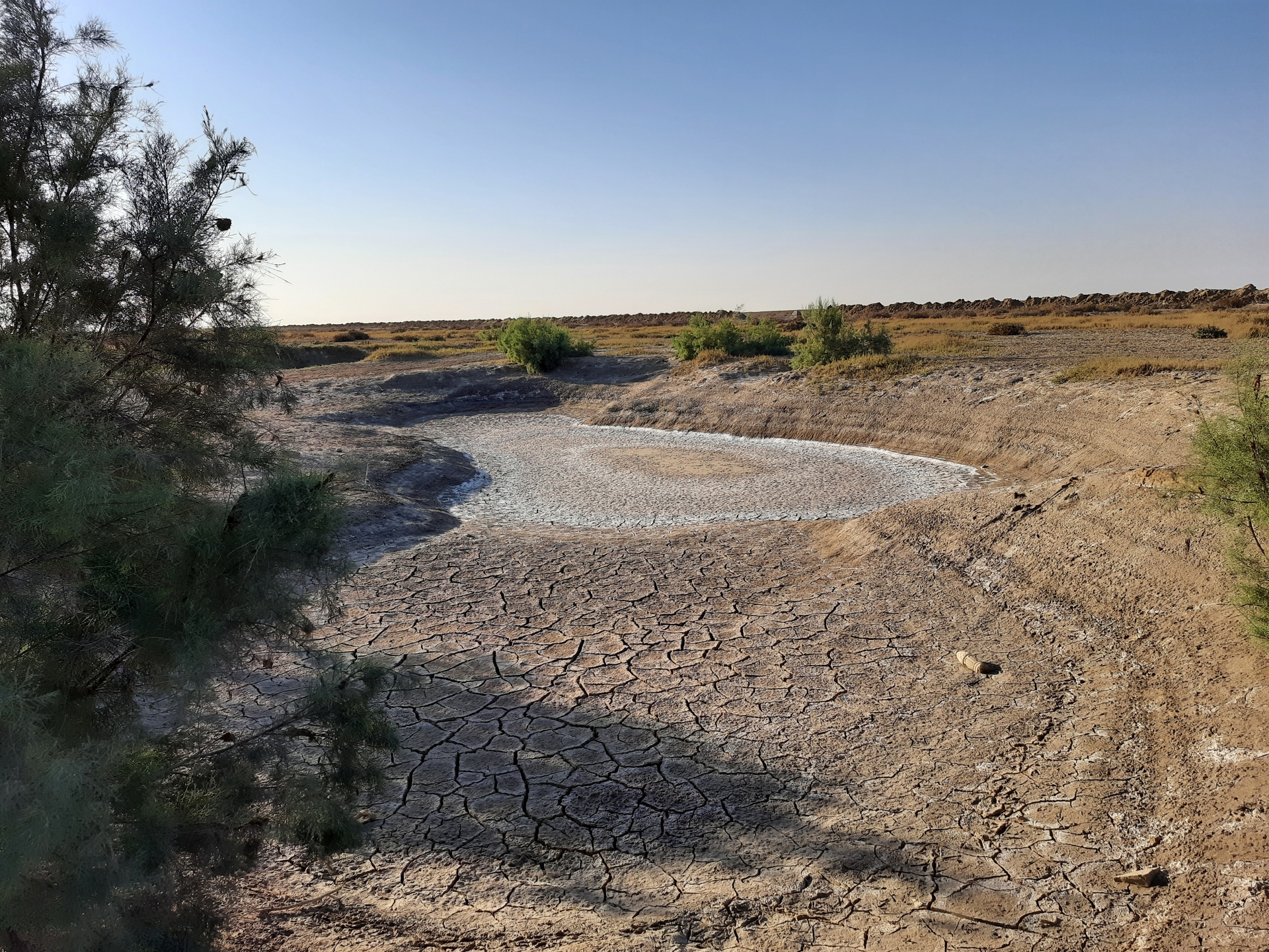 Project image 6