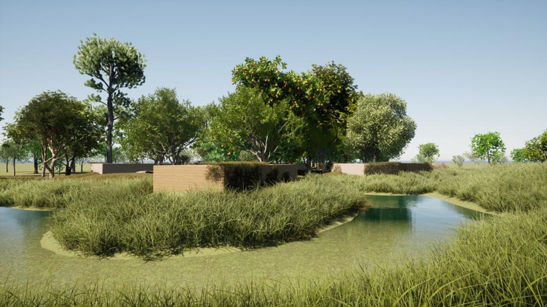 Project image 8