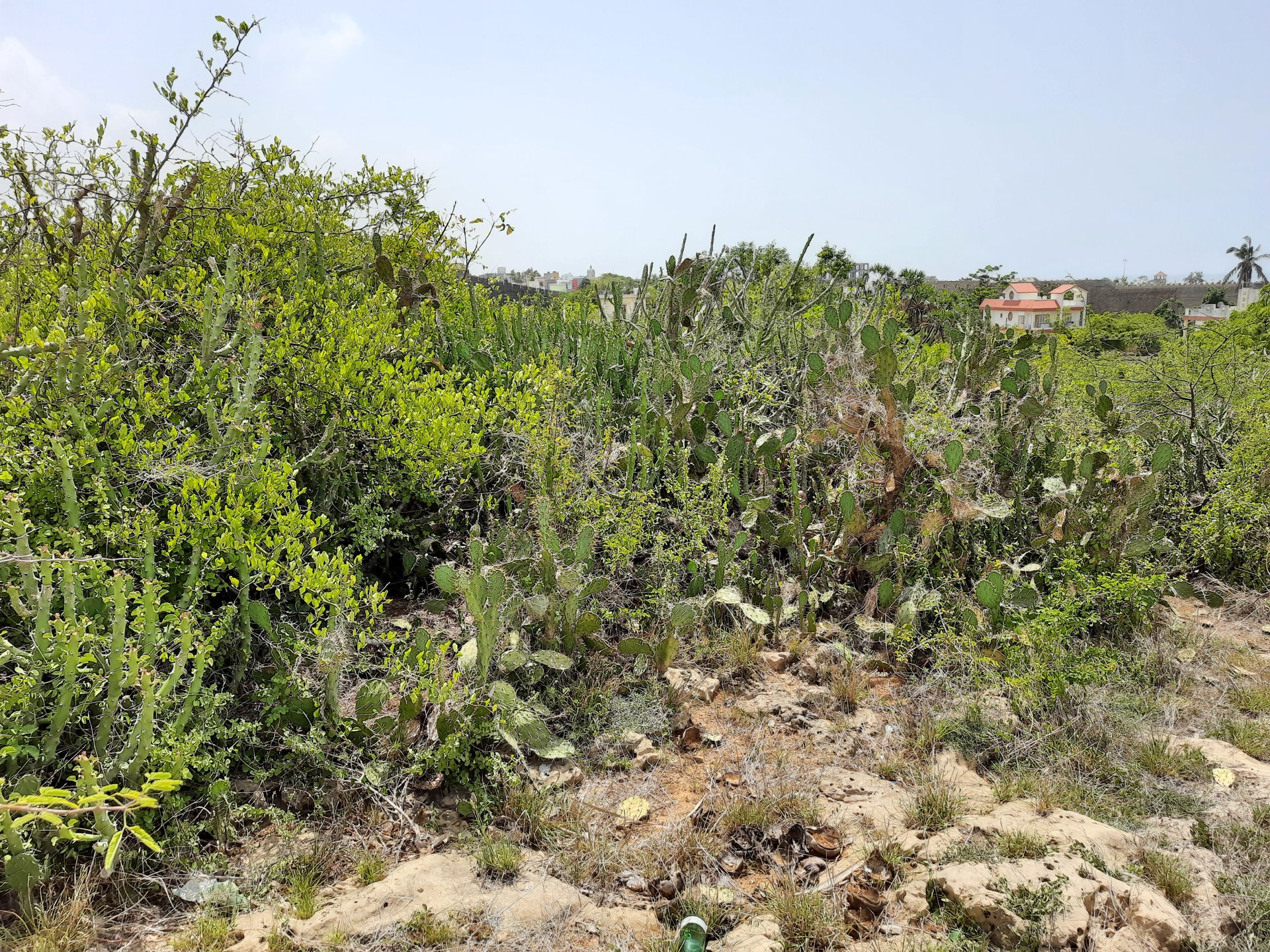 Project image 14
