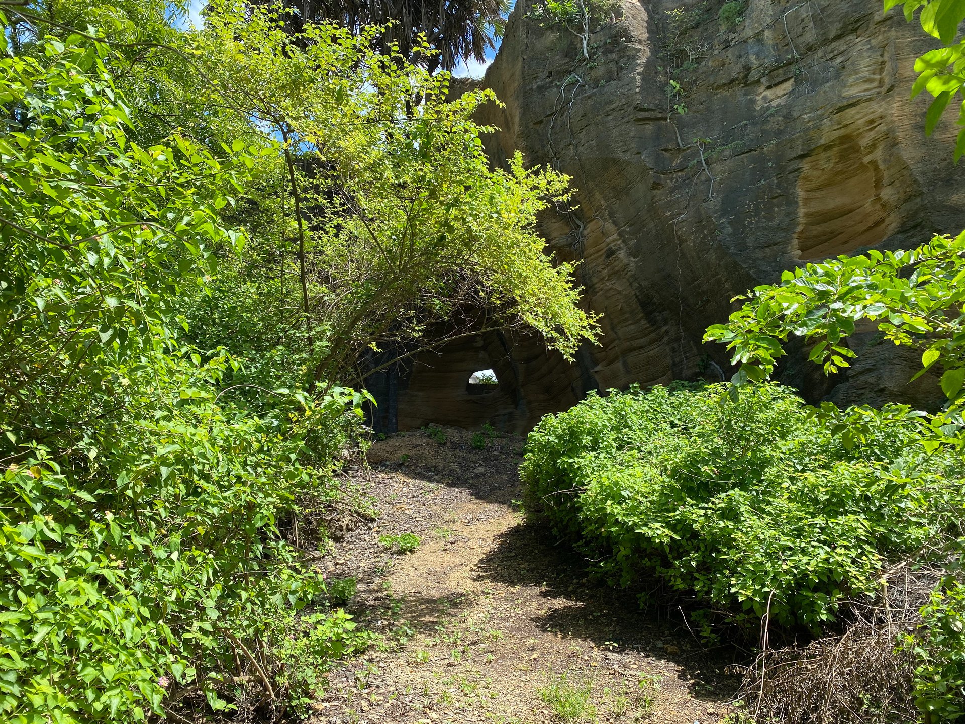 Project image 18