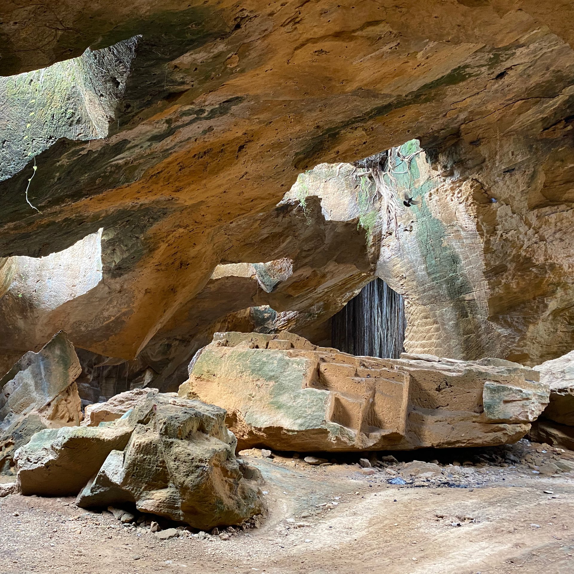 Project image 3