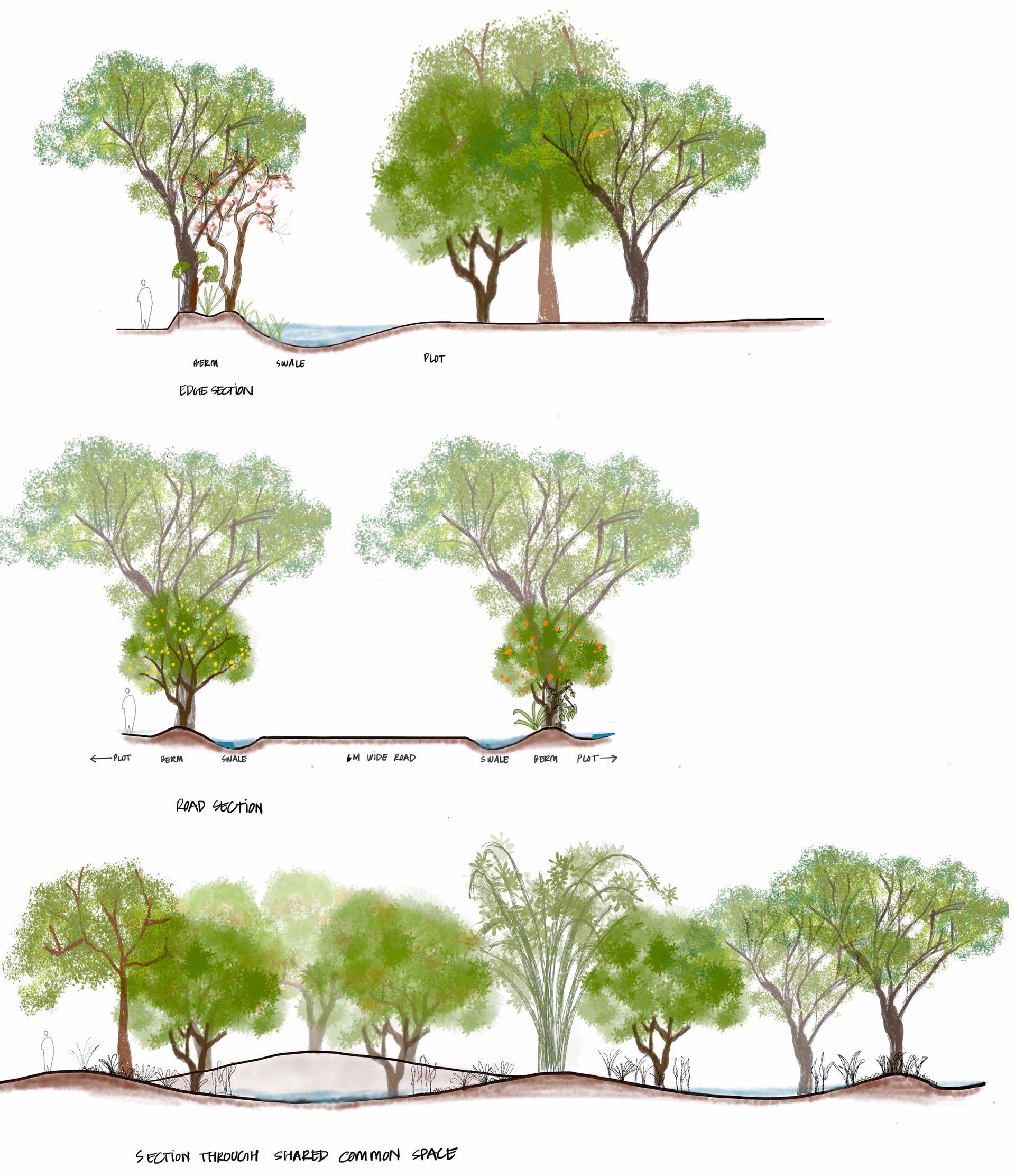 Project image 4